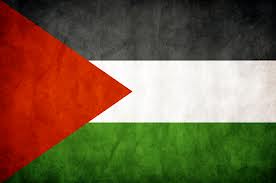 Palestine flag