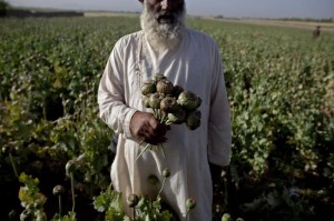 afg drug production