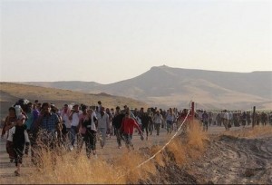 syrian refugees