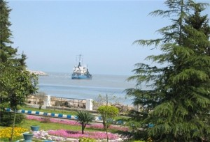 Anzali Free Trade Zone
