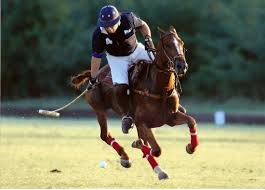 polo