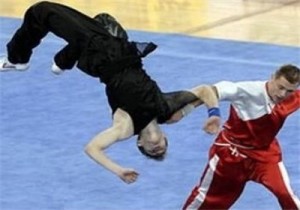 wushu