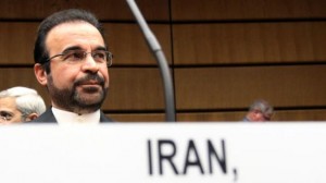 reza najafi2