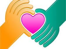 organ donation2