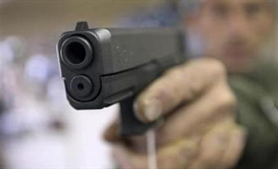 Gun