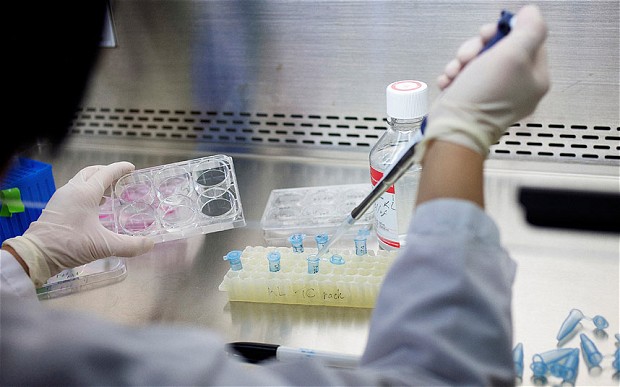 Stem cells