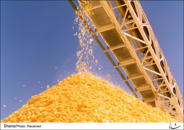 Molten Sulfur