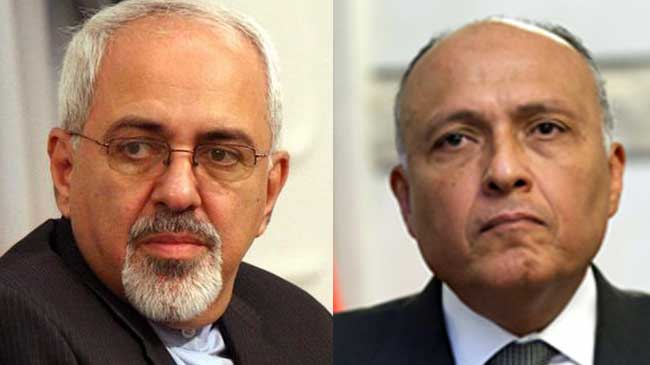Zarif (L) and Sameh Hassan Shoukry