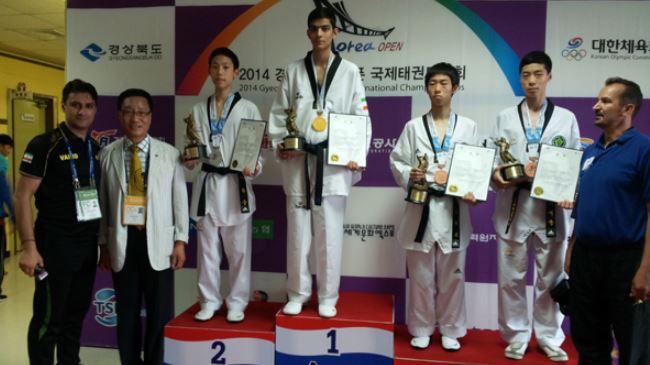 taekwondo