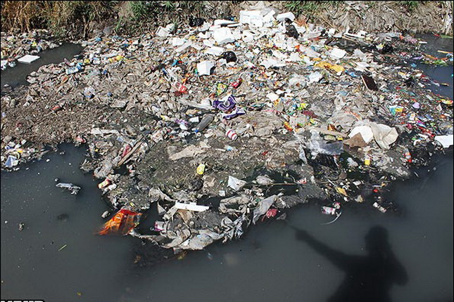 environment