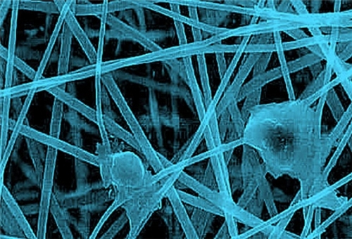 Biocompatible Polymers