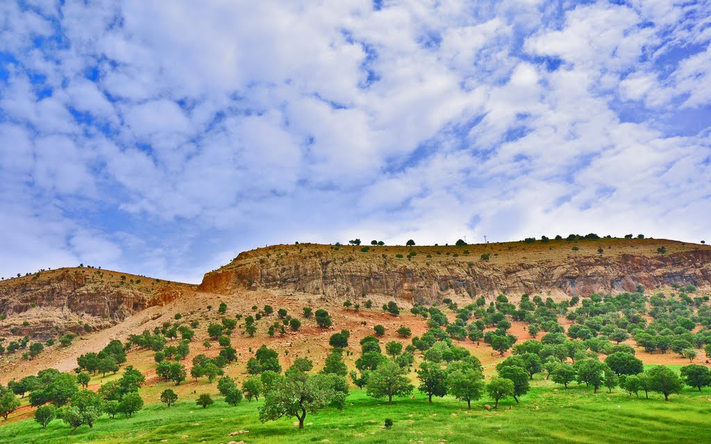 Zagros