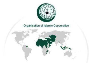 islamic organization