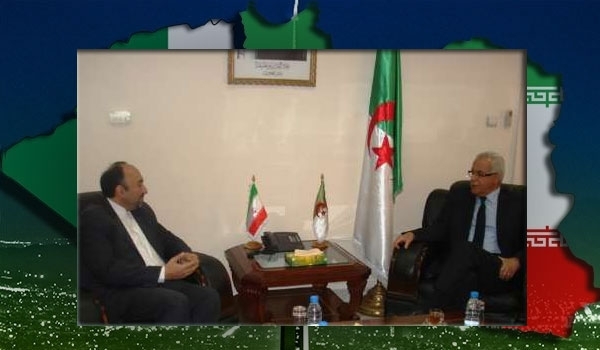 Reza Ameri & Hamid Grine