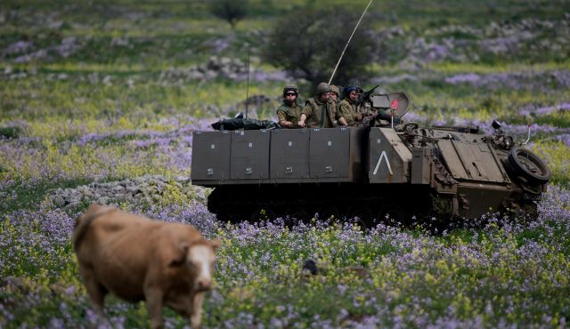Israeli soldiers drive on an armored personnel carrier past a cow during training in the Israeli-controlled Golan Heights, near the border with Syria Monday, March 9, 2015. Photo by AP