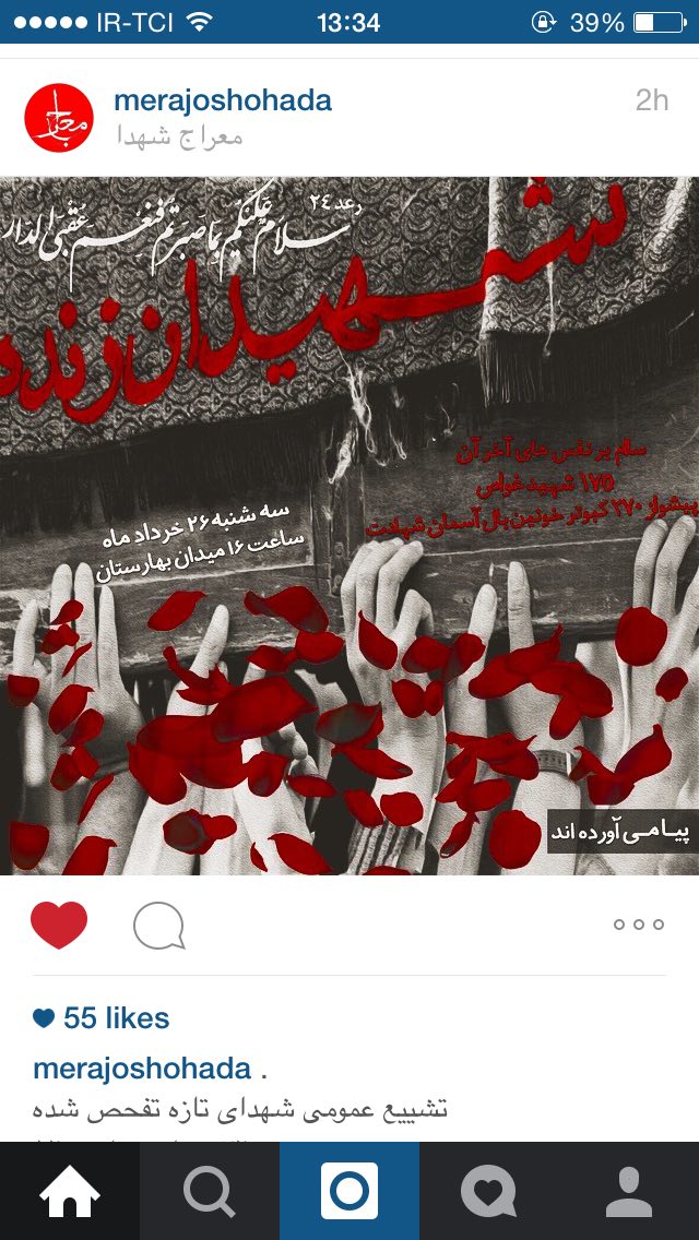 A collection of posters in memorial of 175  Iranian martyr divers (22)